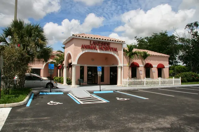 Lakeside Animal Hospital & Veterinarian - Plantation — customer photo 3