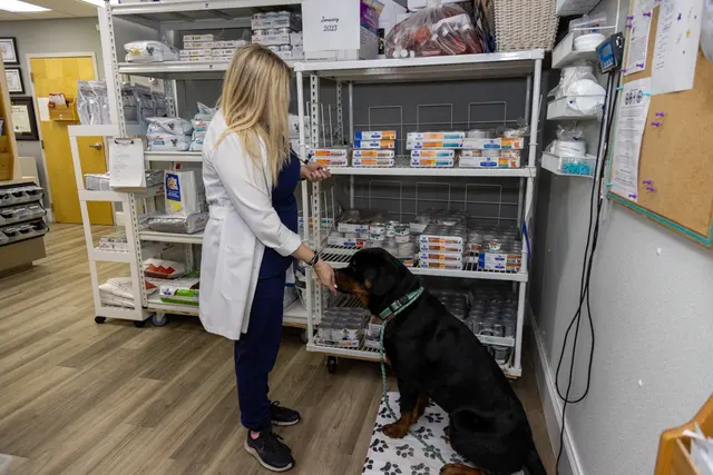 Lakeside Animal Hospital & Veterinarian - Plantation — photo from the business 8