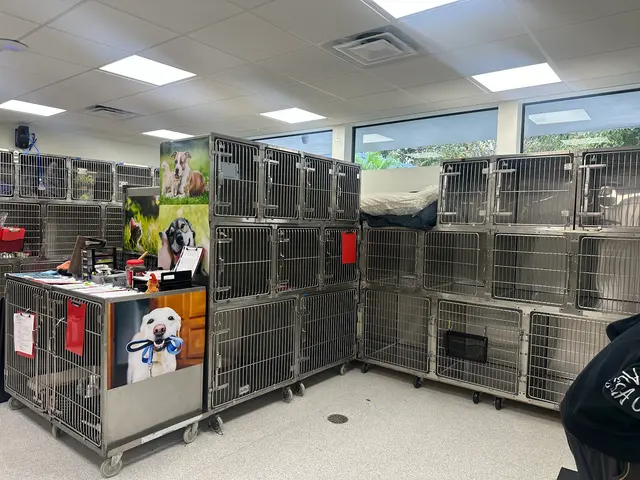 Lakeside Animal Hospital & Veterinarian - Plantation — photo from the business 11