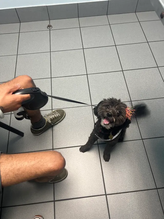 South Broward Animal Hospital — customer photo 2