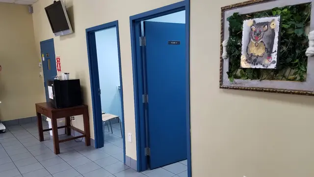 South Broward Animal Hospital — customer photo 5
