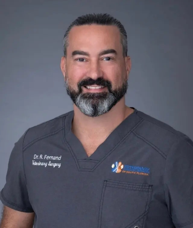 Veterinary Surgical Services of So. FL — photo from the business 6