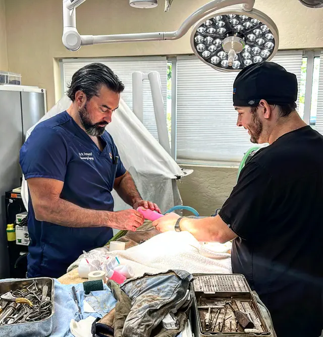 Veterinary Surgical Services of So. FL — customer photo 8