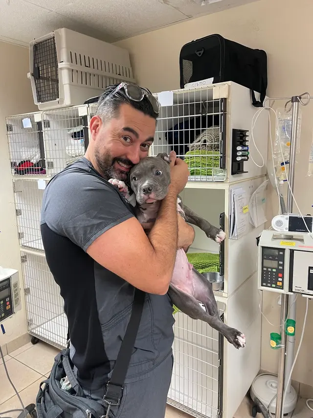 Veterinary Surgical Services of So. FL — customer photo 7