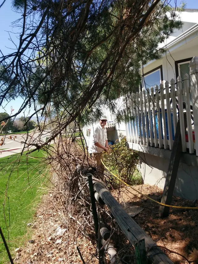 All Guard Pest Control and Termite Extermination — photo from the business 10