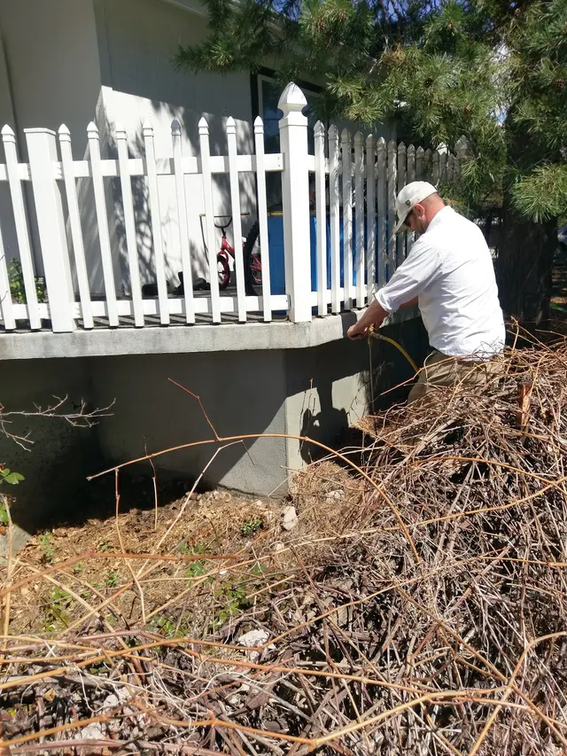 All Guard Pest Control and Termite Extermination — photo from the business 7