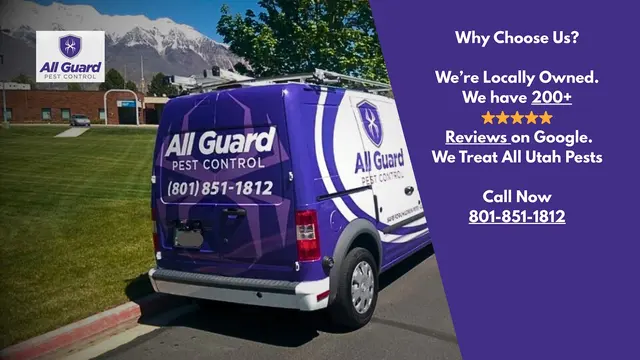 All Guard Pest Control and Termite Extermination — photo from the business 1