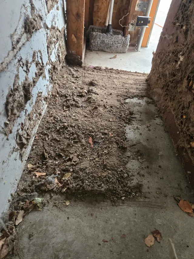 All Guard Pest Control and Termite Extermination — photo from the business 9