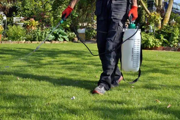 Hunt Pest Control & Pro Lawn — photo from the business 5