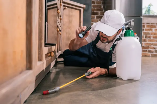 Hunt Pest Control & Pro Lawn — photo from the business 10