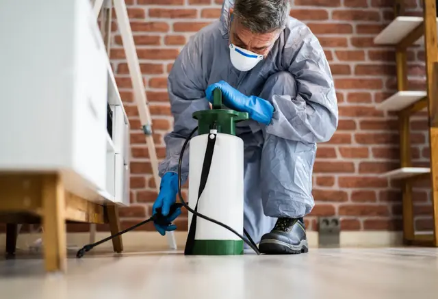 Hunt Pest Control & Pro Lawn — photo from the business 6