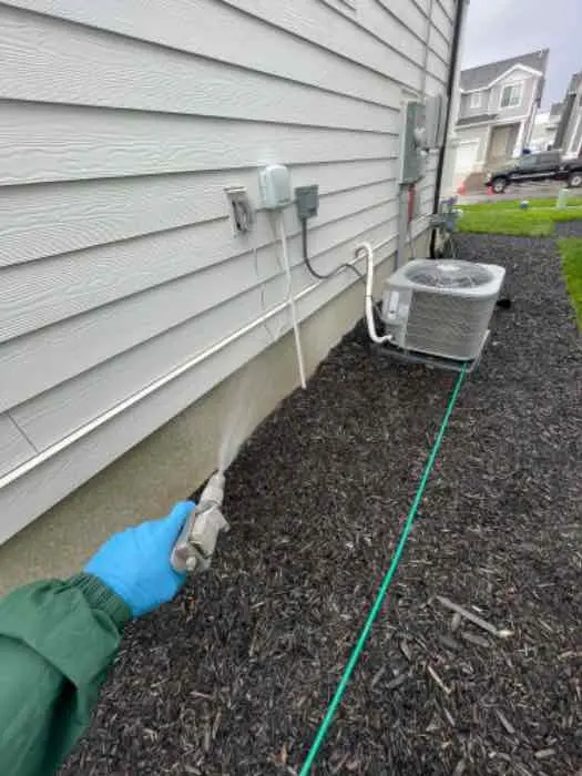 Bulwark Exterminating — customer photo 3