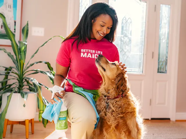 Better Life Home Cleaning — photo from the business 4