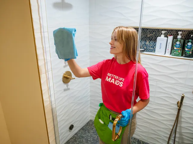 Better Life Home Cleaning — photo from the business 7