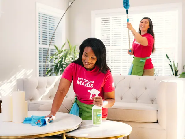 Better Life Home Cleaning — photo from the business 3