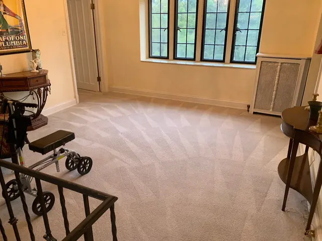 Dirt Blasters Carpet Cleaning LLC — photo from the business 2