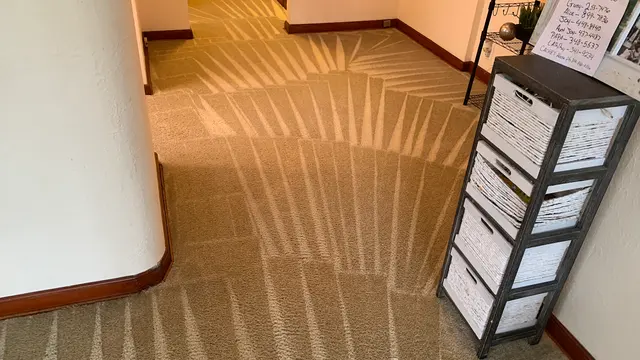 Dirt Blasters Carpet Cleaning LLC — photo from the business 1