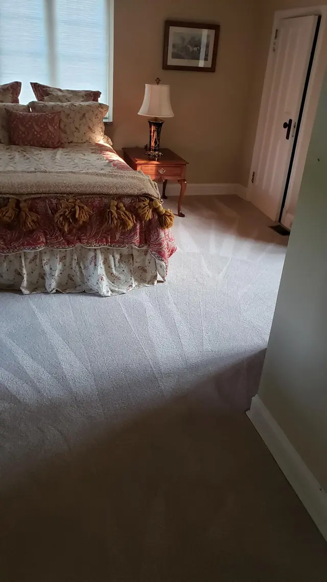 Dirt Blasters Carpet Cleaning LLC — photo from the business 12