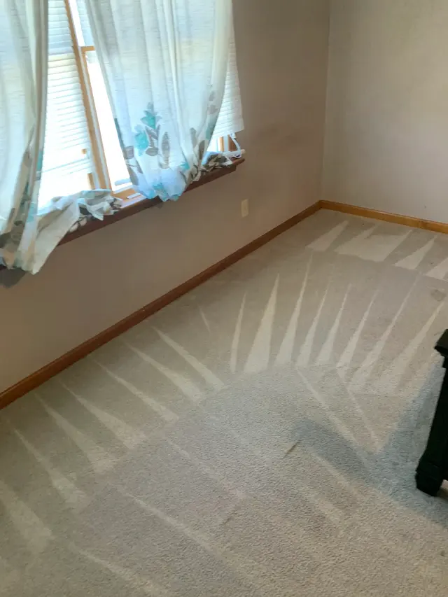 Dirt Blasters Carpet Cleaning LLC — photo from the business 8
