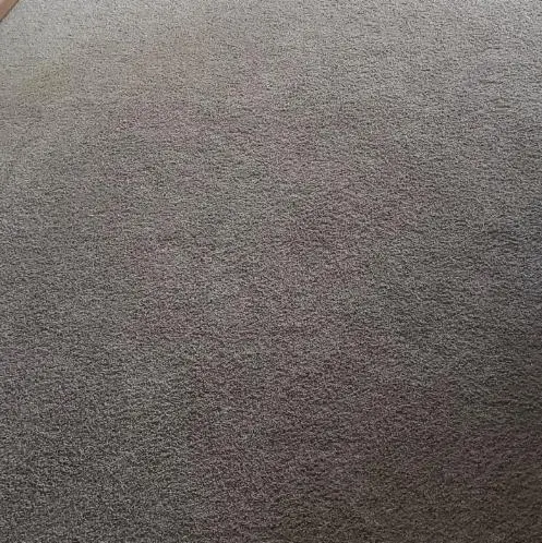 Dirt Blasters Carpet Cleaning LLC — photo from the business 11