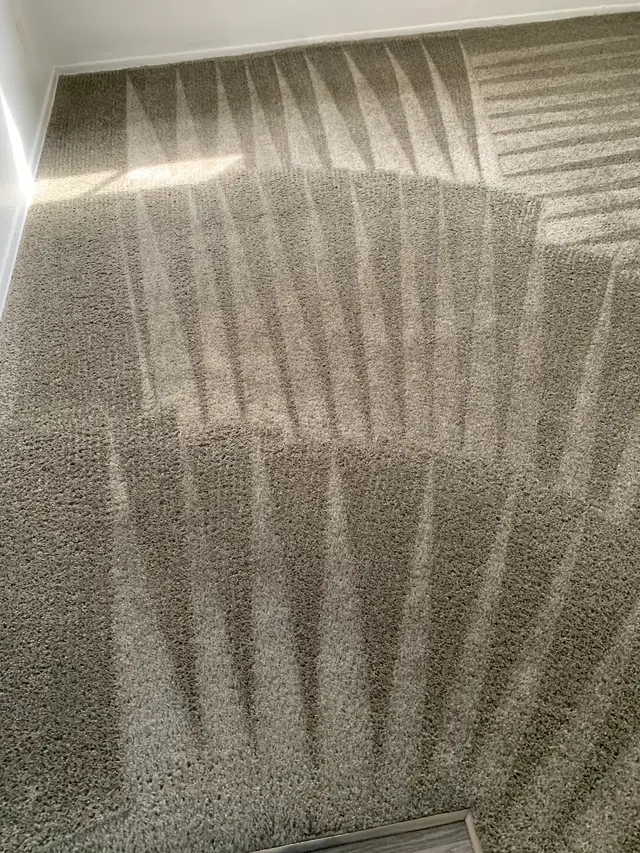 Dirt Blasters Carpet Cleaning LLC — photo from the business 10
