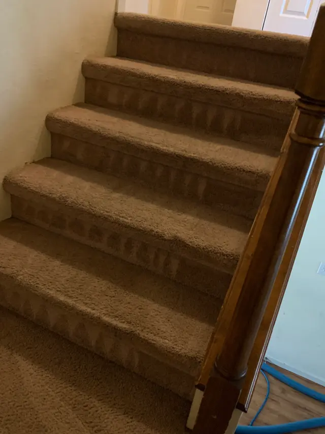 Dirt Blasters Carpet Cleaning LLC — photo from the business 9