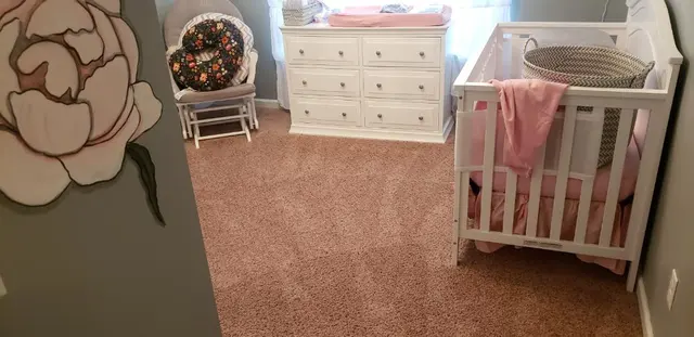 Dirt Blasters Carpet Cleaning LLC — photo from the business 7