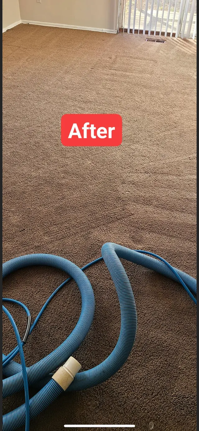 Dirt Blasters Carpet Cleaning LLC — photo from the business 5