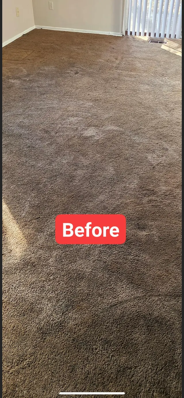 Dirt Blasters Carpet Cleaning LLC — photo from the business 4