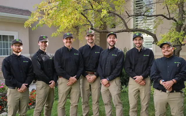 Pest Pro Pest Control — photo from the business 1