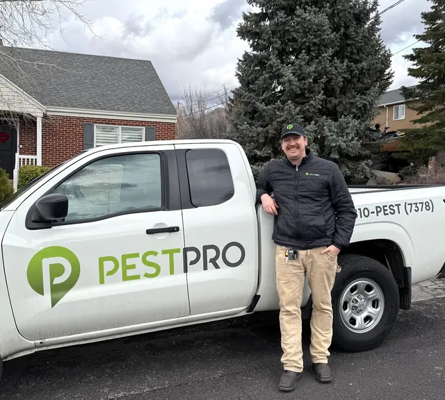 Pest Pro Pest Control — customer photo 5