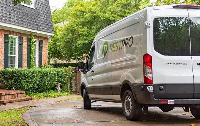 Pest Pro Pest Control — photo from the business 2