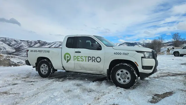 Pest Pro Pest Control — photo from the business 4