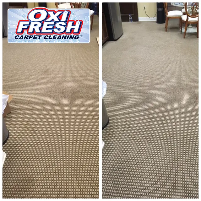 Oxi Fresh Carpet Cleaning — photo from the business 8
