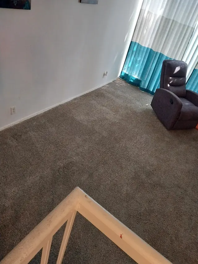 Oxi Fresh Carpet Cleaning — customer photo 4