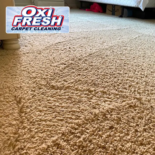 Oxi Fresh Carpet Cleaning — photo from the business 9