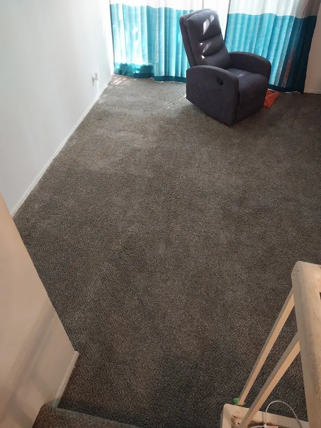 Oxi Fresh Carpet Cleaning — customer photo 3