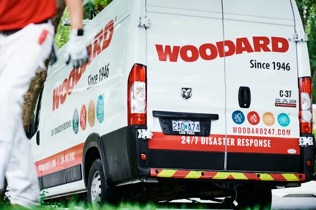 Woodard — photo from the business 3