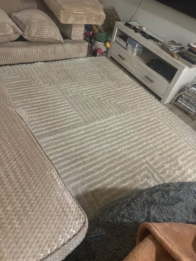 St. Louis Kwik Dry Total Cleaning — customer photo 8