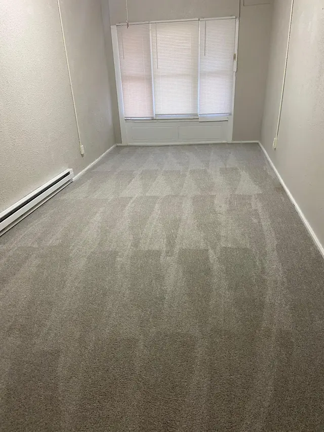 Elsa’s cleaning company LLC — photo from the business 1
