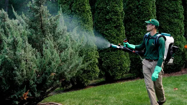 Mosquito Hero — photo from the business 11