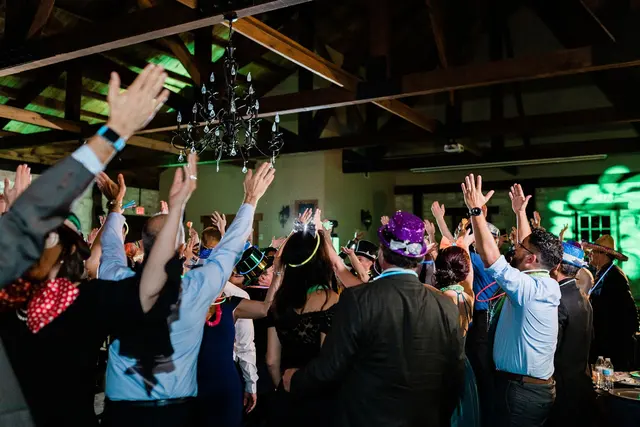 The DJ Event Group — photo from the business 12