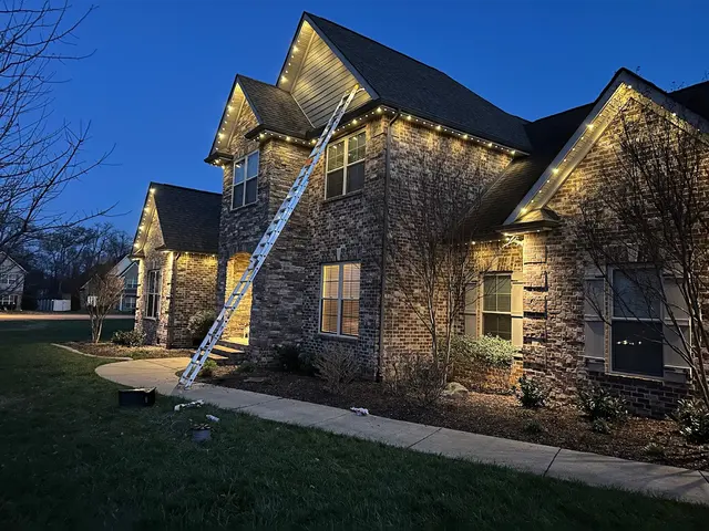 Firefly Permanent Lighting Experts — photo from the business 12
