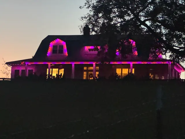 Firefly Permanent Lighting Experts — photo from the business 2