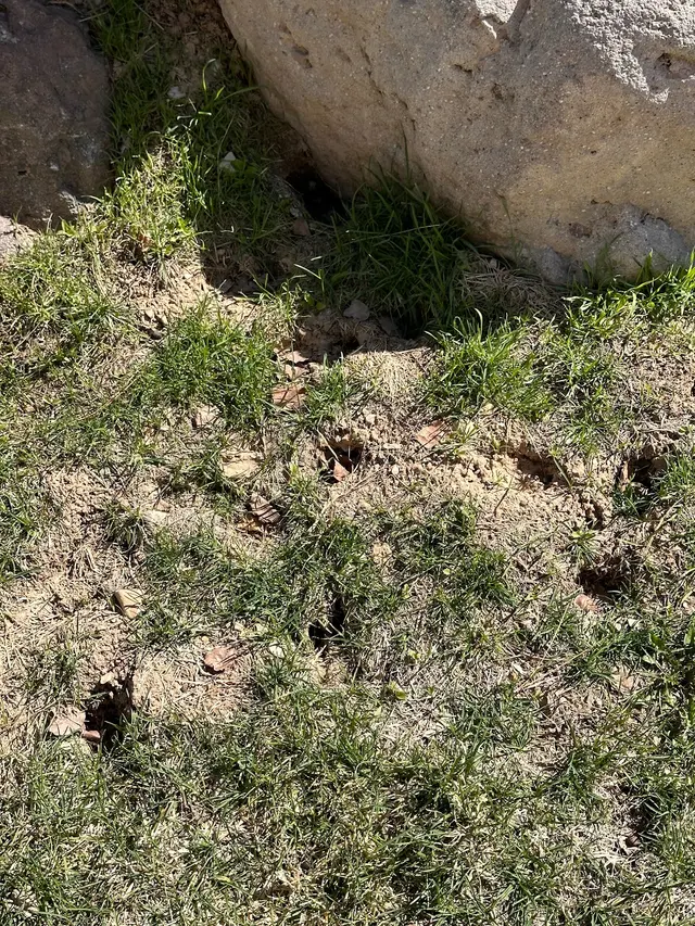 H2 Pest Control — photo from the business 6