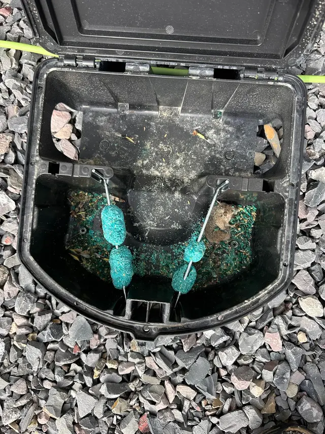 H2 Pest Control — photo from the business 8