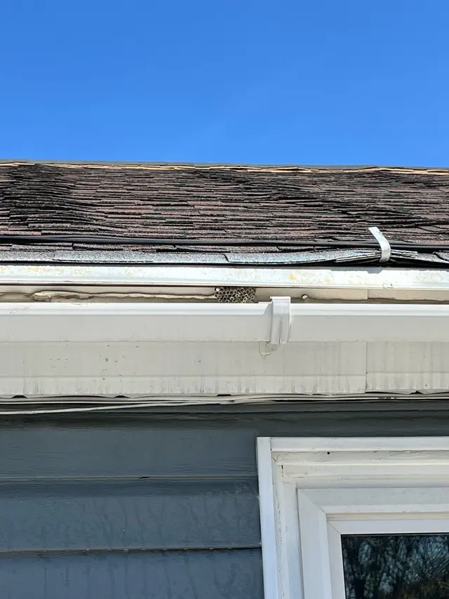 H2 Pest Control — photo from the business 4
