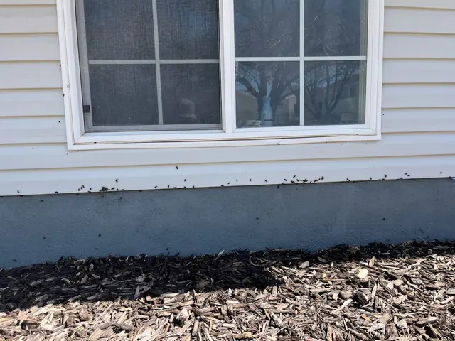H2 Pest Control — photo from the business 9