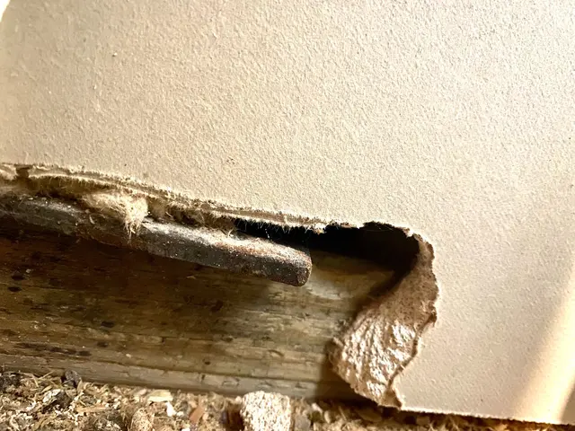 H2 Pest Control — photo from the business 2