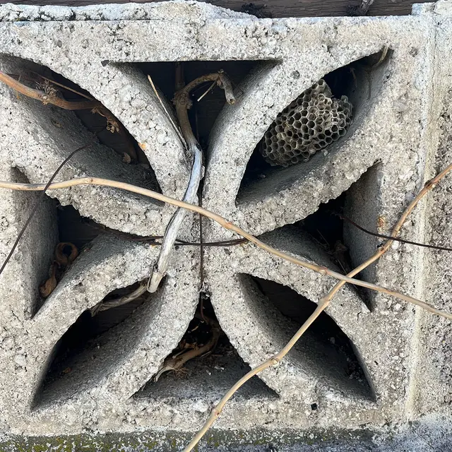 H2 Pest Control — photo from the business 7
